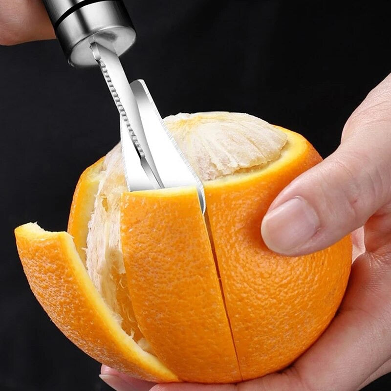 Roestvrijstalen Fruitschiller