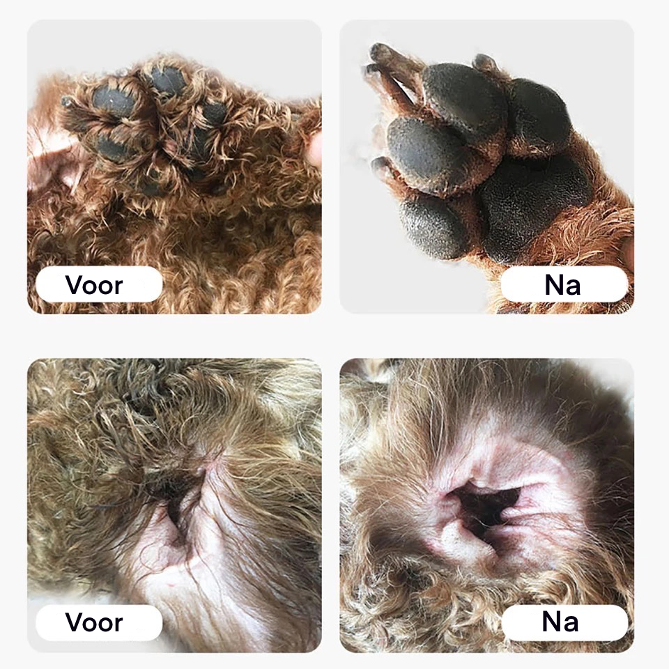 Dieren tondeuse set