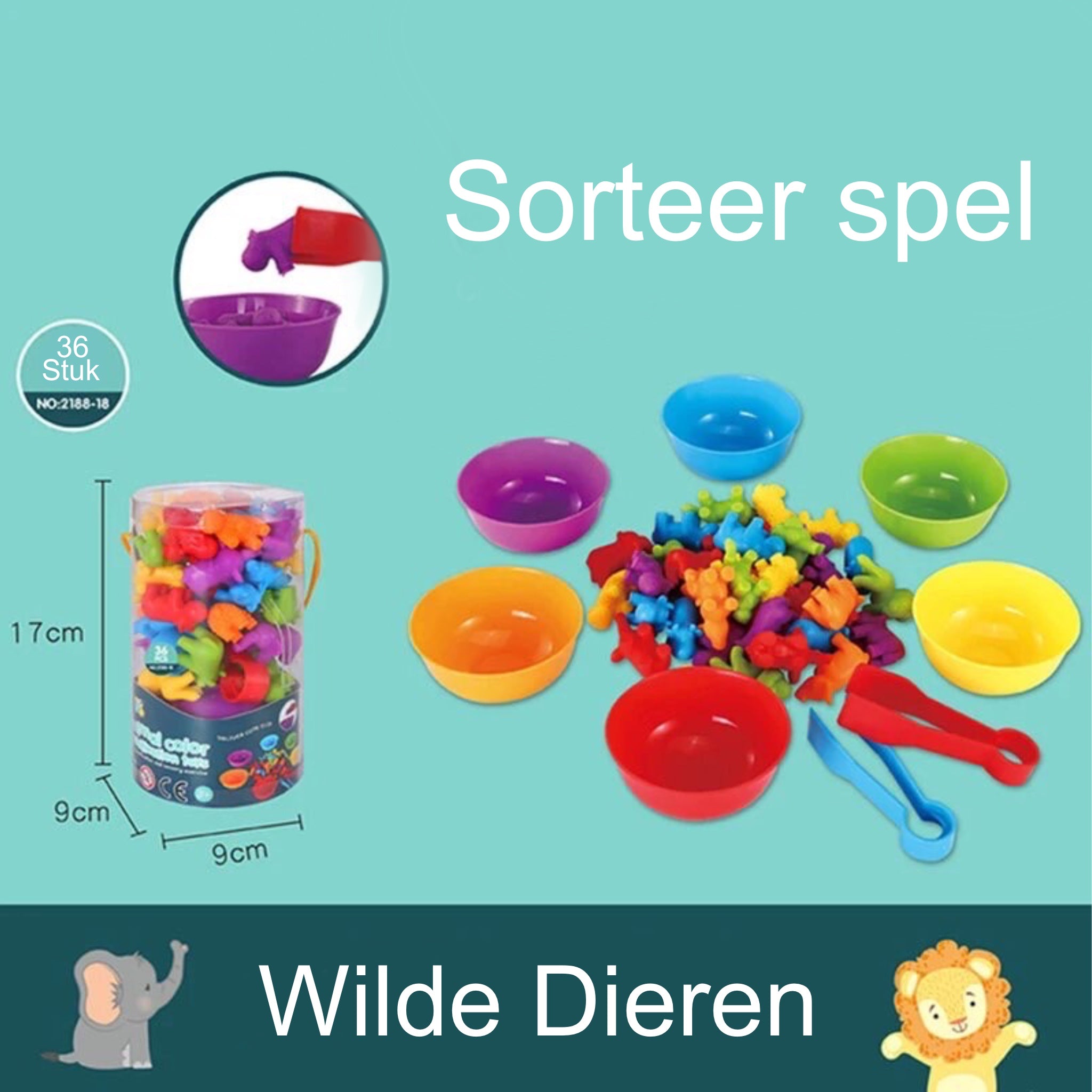 Montessori Sorteer Speelgoed